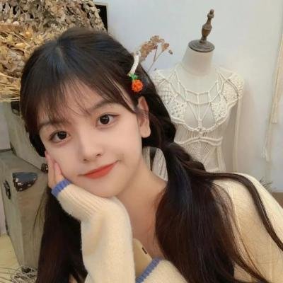大使的宝藏家宴